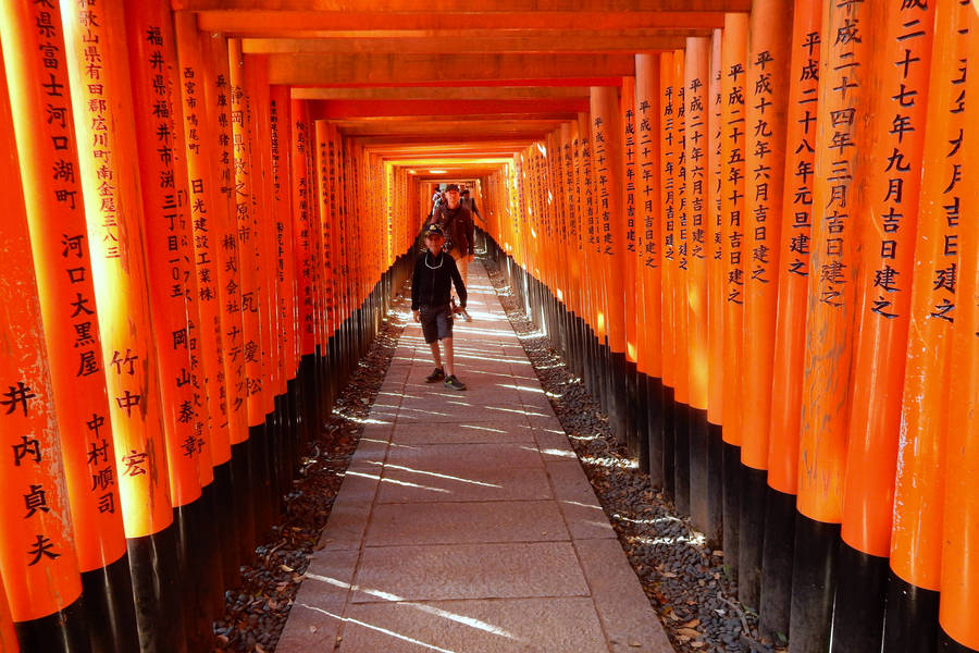 Kyoto / 京都市