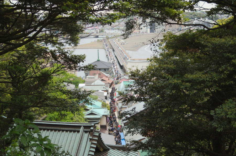 Enoshima et Hakone