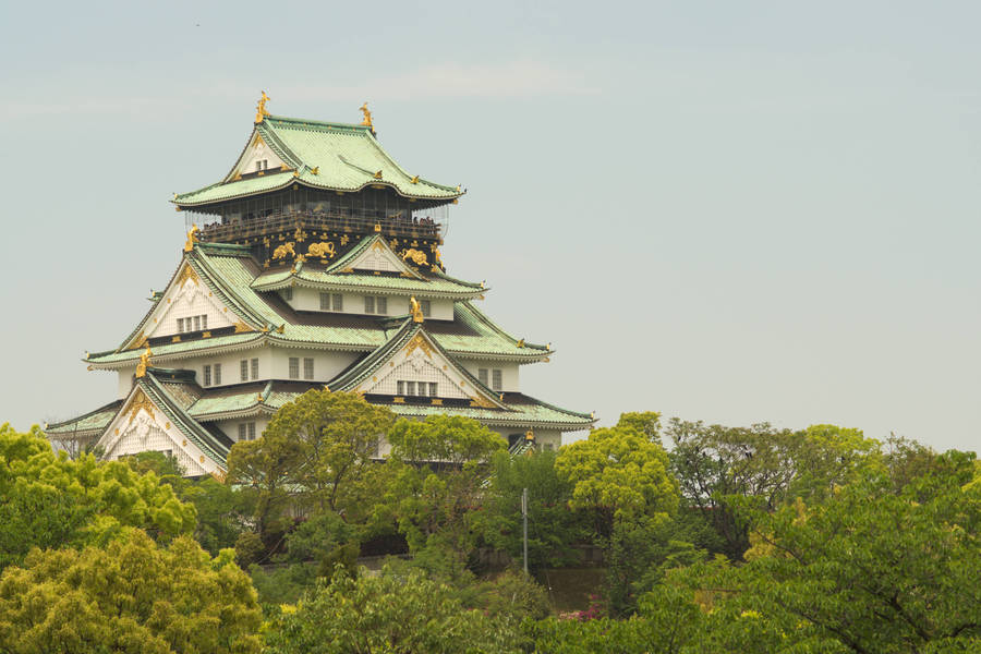 Osaka / 大阪市