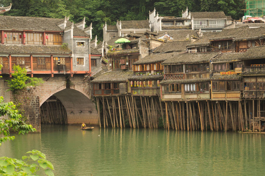 Fenghuang / 凤凰